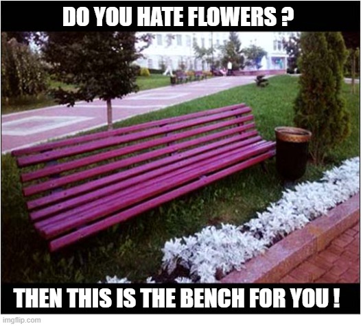 It's Stomping Time ! | Do you hate flowers ? Then this is the bench for you ! | image tagged in bench,flowers,stomping | made w/ Imgflip meme maker