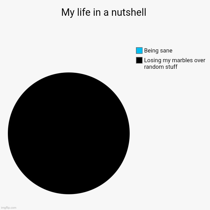 . | My life in a nutshell | Losing my marbles over random stuff, Being sane | image tagged in charts,pie charts | made w/ Imgflip chart maker