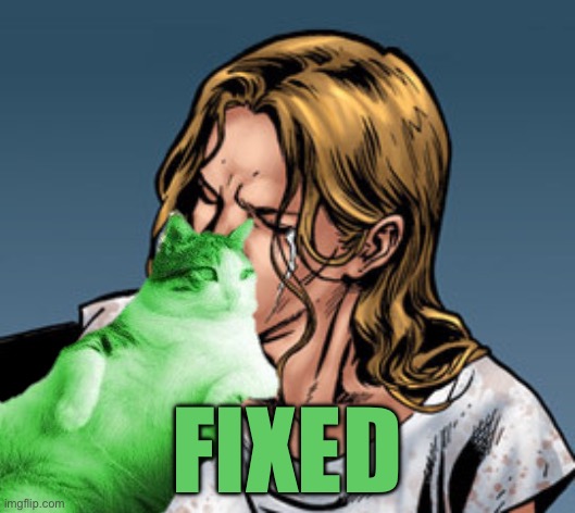 Cats FTW | Fixed | image tagged in remix | made w/ Imgflip meme maker