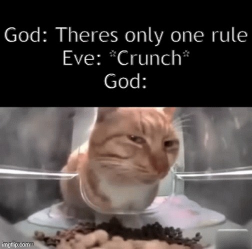 it was one rule | image tagged in shitpost | made w/ Imgflip meme maker