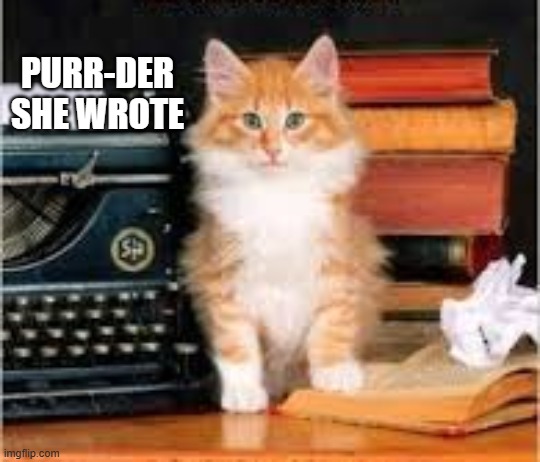 Here's the author of the book "Purr-der She Wrote." It's a cat. | purr-der she wrote | image tagged in cat,kittens,funny,humor,play on words,book | made w/ Imgflip meme maker