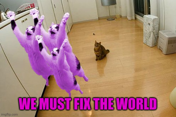 RayCat save the world | We must fix the world | image tagged in raycat save the world | made w/ Imgflip meme maker
