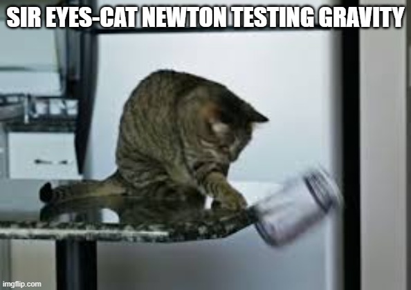 Sir Eyes-cat Newton doing gravitational experiments. | Sir eyes-cat newton testing gravity | image tagged in cat,kittens,funny,humor,isaac newton,play on words | made w/ Imgflip meme maker