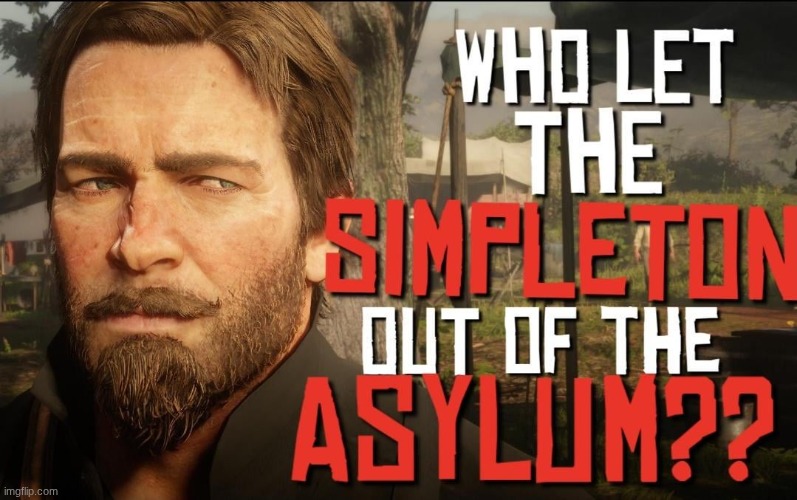 Who let the simpleton out of the asylum?? | image tagged in who let the simpleton out of the asylum | made w/ Imgflip meme maker