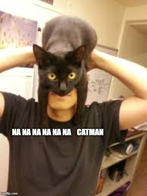 Here is a rare picture of the real Batman, I mean Catman. | na na na na na na    catman | image tagged in cat,kittens,funny,humor,batman,play on words | made w/ Imgflip meme maker
