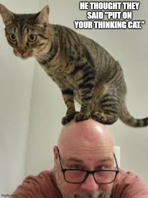 He thought he said "Put on your thinking cat."    --  funny  -- | He thought they said "put on your thinking cat." | image tagged in cat,kittens,funny,humor,play on words | made w/ Imgflip meme maker