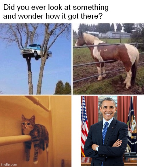 Read the Obama books explaining how he tried to take this country down | image tagged in did you ever look at something | made w/ Imgflip meme maker