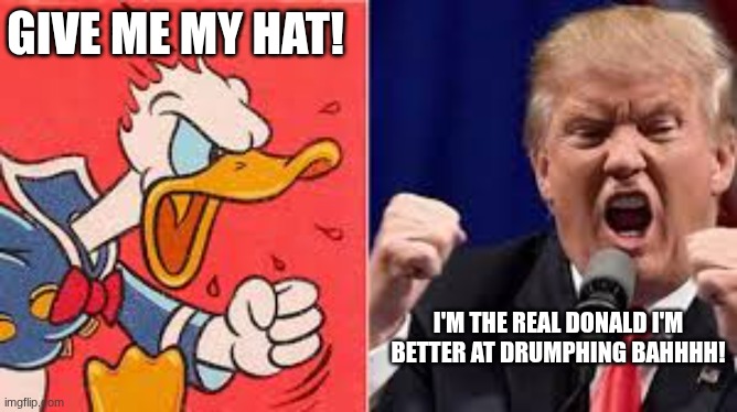 Donald rage off | give me my hat! I'm the real donald I'm better at drumphing bahhhh! | image tagged in two donald's mad,funny,donald trump,lol | made w/ Imgflip meme maker