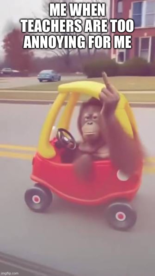 Funny monke | Me when teachers are too annoying for me | image tagged in funny | made w/ Imgflip meme maker
