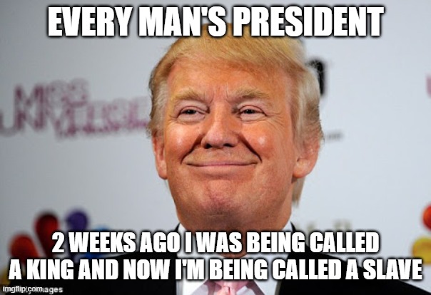Donald trump approves | every man's president; 2 weeks ago I was being called a king and now I'm being called a slave | image tagged in donald trump approves | made w/ Imgflip meme maker