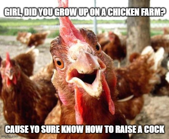 Chicken Girl | Girl, did you grow up on a chicken farm? cause yo sure know how to raise a cock | image tagged in chicken | made w/ Imgflip meme maker