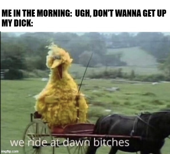 Morning | Me in the morning:  ugh, Don't wanna get up
My dick: | image tagged in we ride at dawn bitches | made w/ Imgflip meme maker