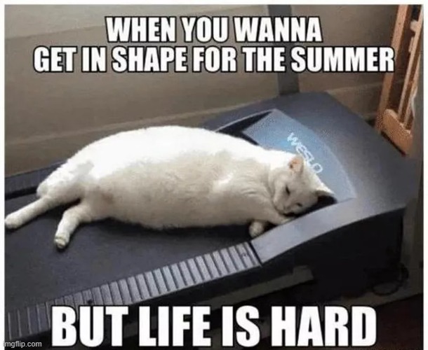 Life is Hard | image tagged in repost | made w/ Imgflip meme maker