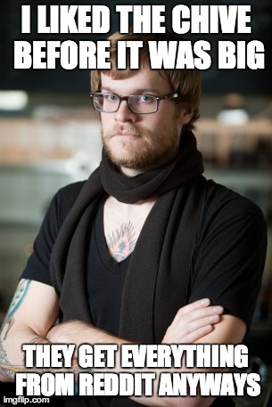 Hipster Barista Meme | I LIKED THE CHIVE BEFORE IT WAS BIG THEY GET EVERYTHING FROM REDDIT ANYWAYS | image tagged in memes,hipster barista | made w/ Imgflip meme maker