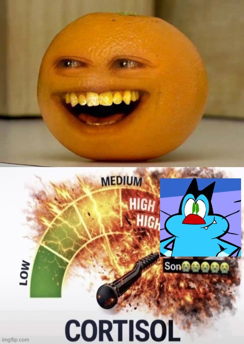 Son | image tagged in annoying orange annoys a character | made w/ Imgflip meme maker