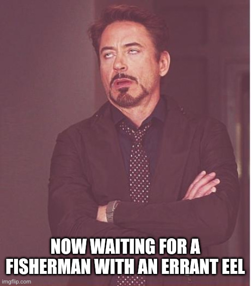 Face You Make Robert Downey Jr Meme | Now waiting for a fisherman with an errant eel | image tagged in memes,face you make robert downey jr | made w/ Imgflip meme maker