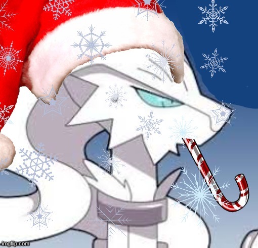 festive reshiram | image tagged in festive reshiram | made w/ Imgflip meme maker