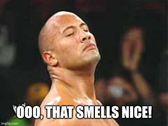 Ooo, that smells nice! | image tagged in the rock smelling | made w/ Imgflip meme maker