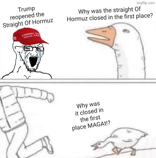 Who wants an 'I believe everything Trump says' sticker? | Trump reopened the Straight Of Hormuz; Why was the straight Of Hormuz closed in the first place? Why was it closed in the first place MAGAt!? | image tagged in goose chase,maga | made w/ Imgflip meme maker