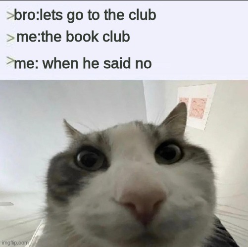 when bro said we aren't going to the book club and said a real club when were just 12 | bro:lets go to the club; me:the book club; me: when he said no | image tagged in cat looks inside | made w/ Imgflip meme maker