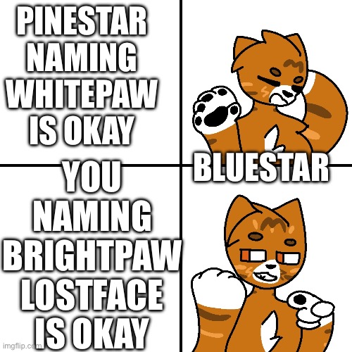 Like, bro why tho??? | Pinestar naming whitepaw is okay; You naming brightpaw lostface is okay; Bluestar | image tagged in thunder drake meme | made w/ Imgflip meme maker