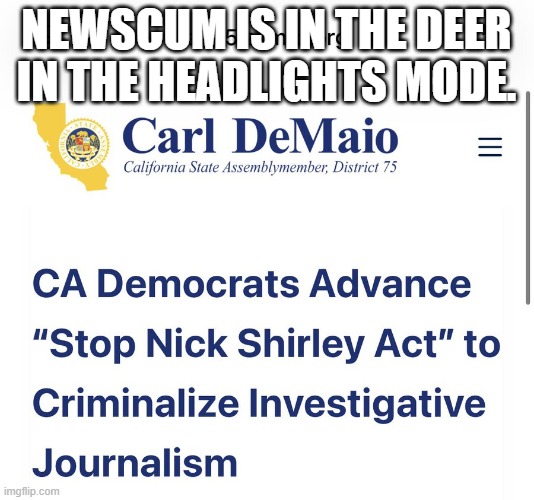 Only in Californication. | Newscum is in the Deer In The Headlights Mode. | image tagged in only in californication | made w/ Imgflip meme maker