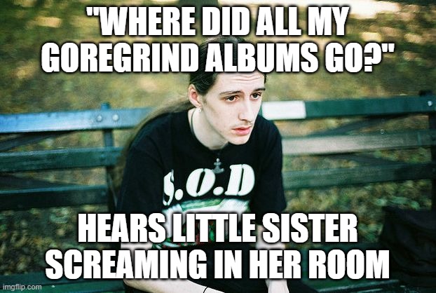 FIRST WORLD METALHEAD | "where did all my goregrind albums go?"; hears little sister screaming in her room | image tagged in first world metalhead,metal,goregrind,memes,funny,dank | made w/ Imgflip meme maker