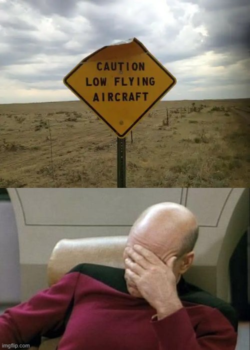 image tagged in memes,captain picard facepalm | made w/ Imgflip meme maker