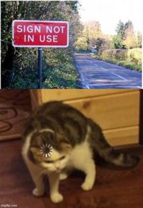 image tagged in loading cat | made w/ Imgflip meme maker