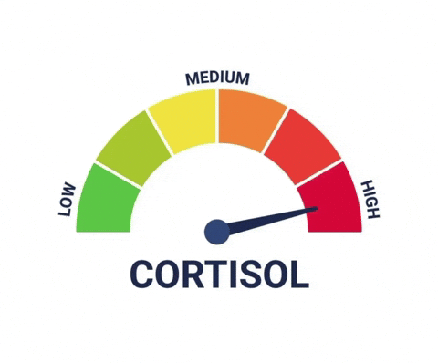 high cortisol Blank Meme Template