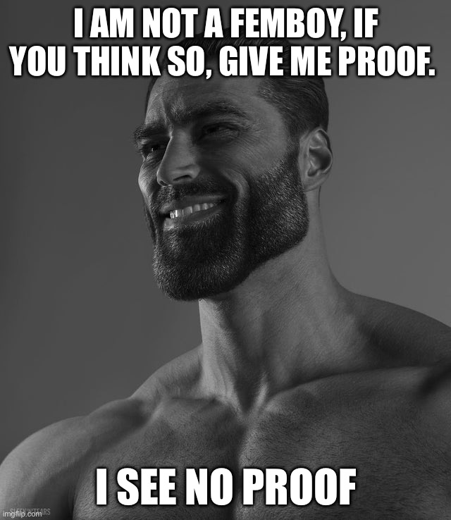 Giga Chad | i am not a femboy, if you think so, give me proof. i see no proof | image tagged in giga chad | made w/ Imgflip meme maker