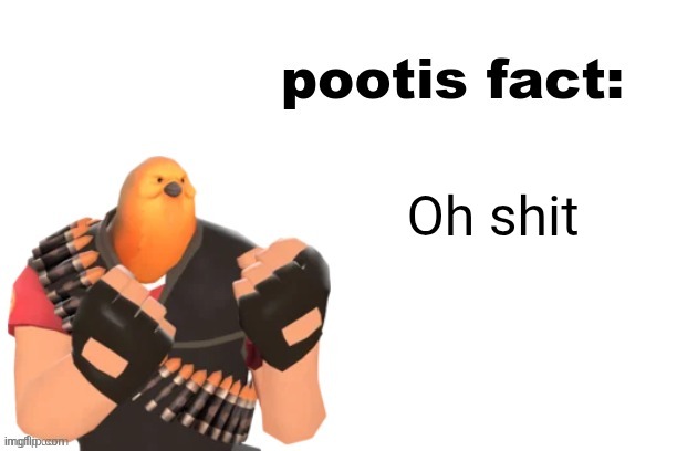 pootis fact | Oh shit | image tagged in pootis fact | made w/ Imgflip meme maker