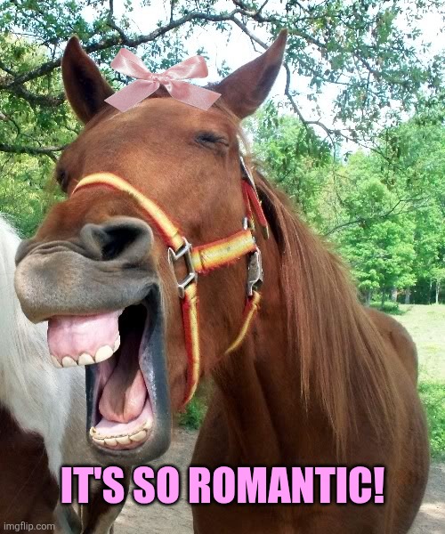 Laughing Horse | It's so romantic! | image tagged in laughing horse | made w/ Imgflip meme maker