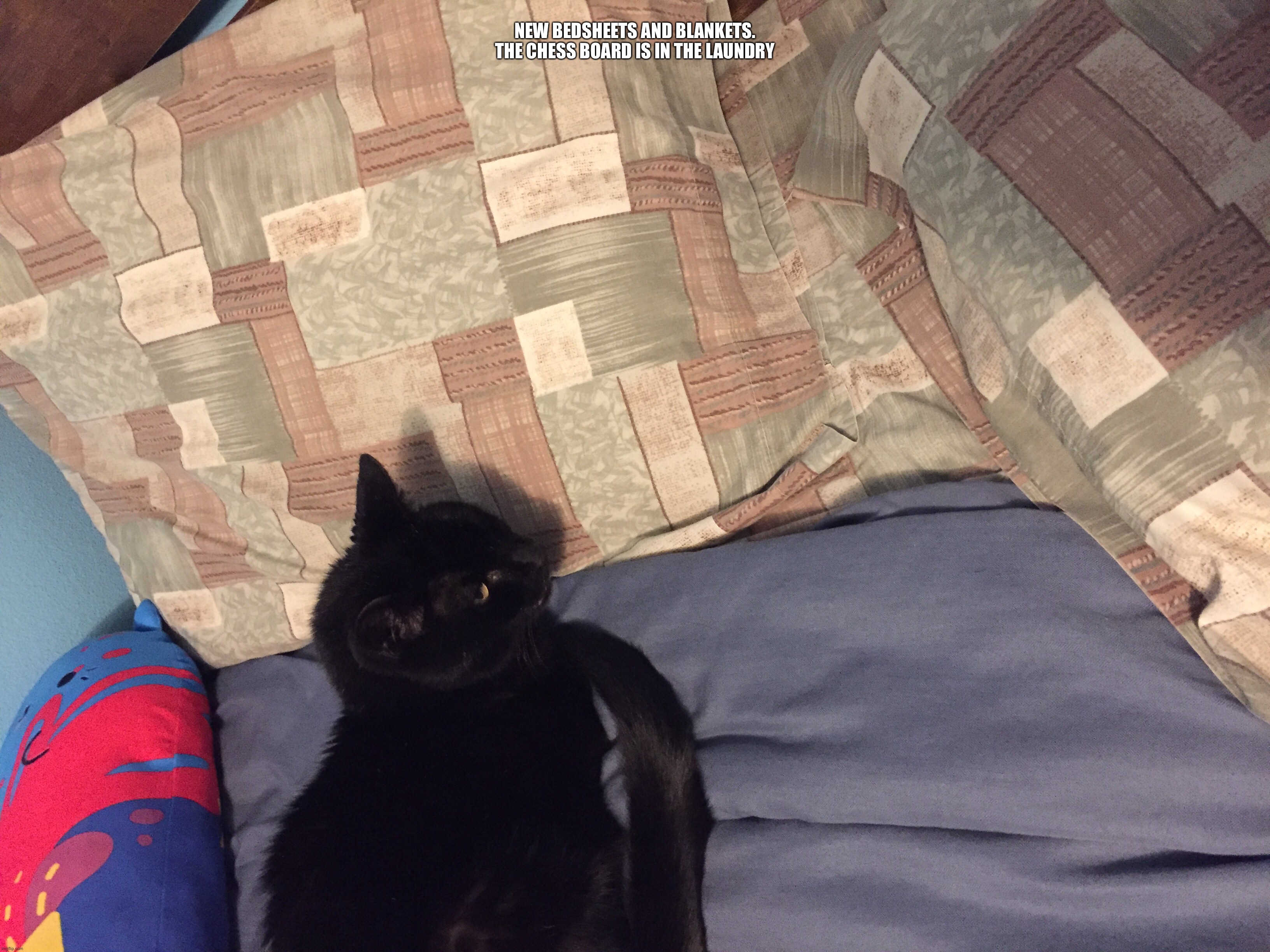 @ O | New bedsheets and blankets. The chess board is in the laundry | made w/ Imgflip meme maker