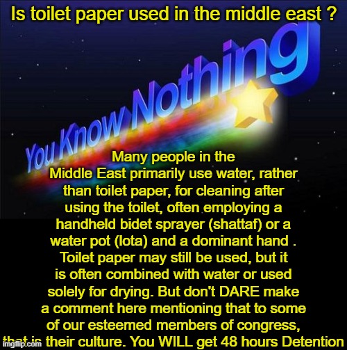 AI knows Everything | Is toilet paper used in the middle east ? Many people in the Middle East primarily use water, rather than toilet paper, for cleaning after using the toilet, often employing a handheld bidet sprayer (shattaf) or a water pot (lota) and a dominant hand . Toilet paper may still be used, but it is often combined with water or used solely for drying. But don't DARE make a comment here mentioning that to some of our esteemed members of congress, that is their culture. You WILL get 48 hours Detention | image tagged in ai toilet paper meme | made w/ Imgflip meme maker