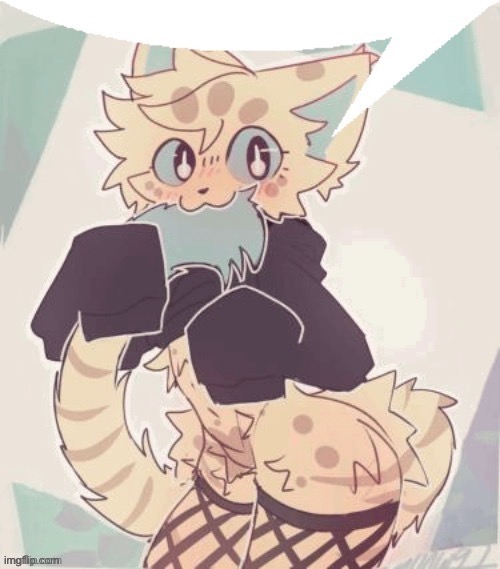 image tagged in furry speechbubble | made w/ Imgflip meme maker