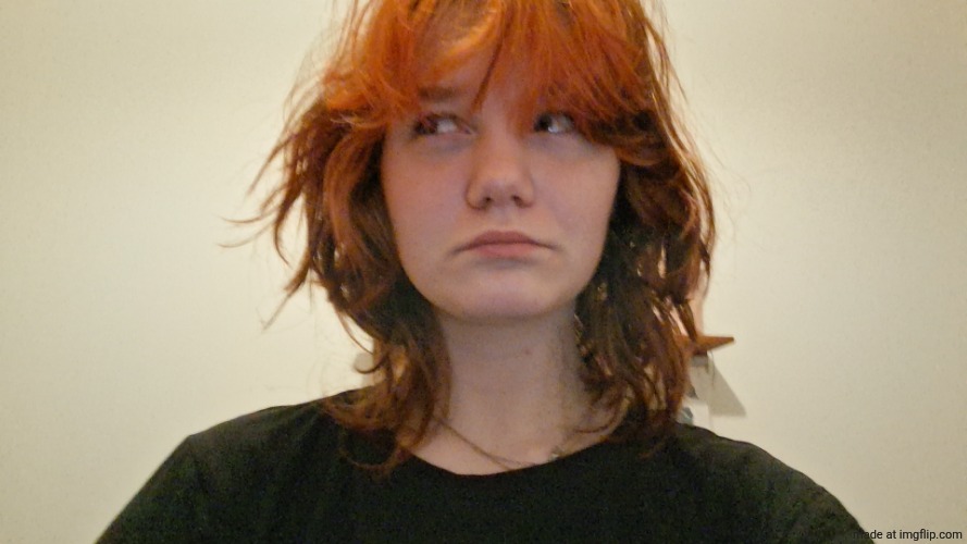 image tagged in fun fact of the day | made w/ Imgflip meme maker