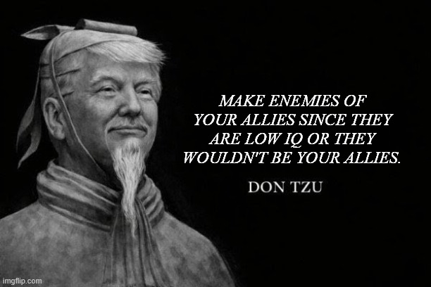MAKE ENEMIES | MAKE ENEMIES OF YOUR ALLIES SINCE THEY ARE LOW IQ OR THEY WOULDN'T BE YOUR ALLIES. | image tagged in don tzu | made w/ Imgflip meme maker