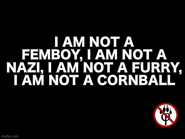 i am not a femboy, i am not a nazi, i am not a furry, i am not a cornball | made w/ Imgflip meme maker