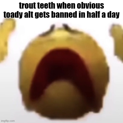 bro literally made a whole alt and another just to get banned in a day bro | trout teeth when obvious toady alt gets banned in half a day | image tagged in emoji evaporating,memes,funny,toady | made w/ Imgflip meme maker