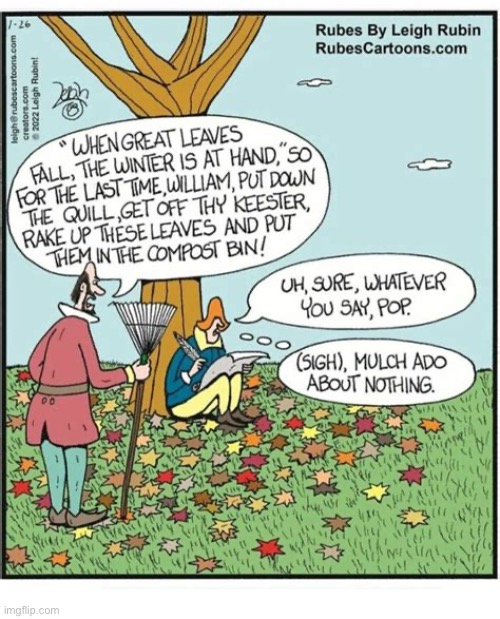 Rubes | image tagged in comics,rubes,shakespeare,father,raking leaves,much ado about nothing | made w/ Imgflip meme maker