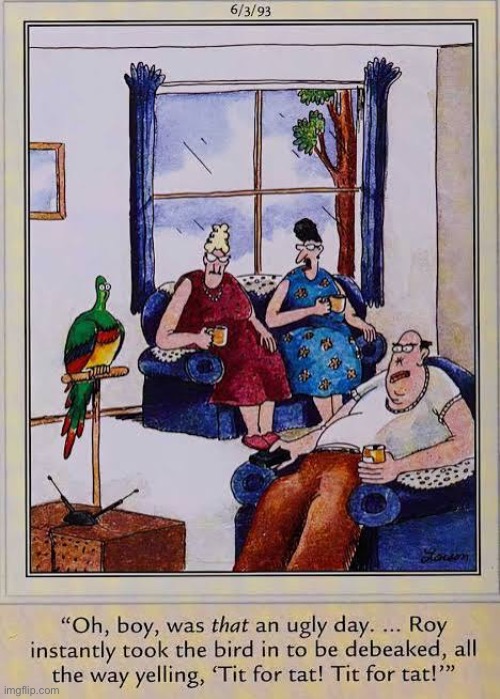 An eye for an eye and a beak for a nose… | image tagged in the far side,comics,parrot,debeaked,nose,tit for tat | made w/ Imgflip meme maker