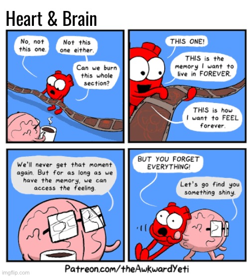 Memories | Heart & Brain | image tagged in comics,the awkward yeti,heart and brain,memories,feeling,forgetting | made w/ Imgflip meme maker