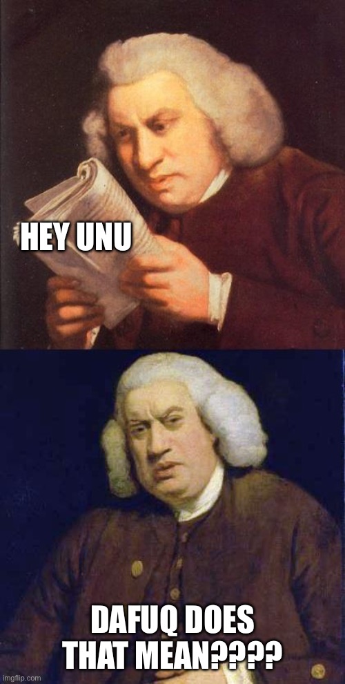 Dafuq did I just read | Hey unu Dafuq does that mean???? | image tagged in dafuq did i just read | made w/ Imgflip meme maker