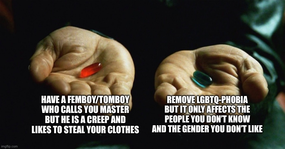 God this is a hard choice- | Have a femboy/tomboy who calls you master but he is a creep and likes to steal your clothes; Remove lgbtq-phobia but it only affects the people you don’t know and the gender you don’t like | image tagged in red pill blue pill | made w/ Imgflip meme maker