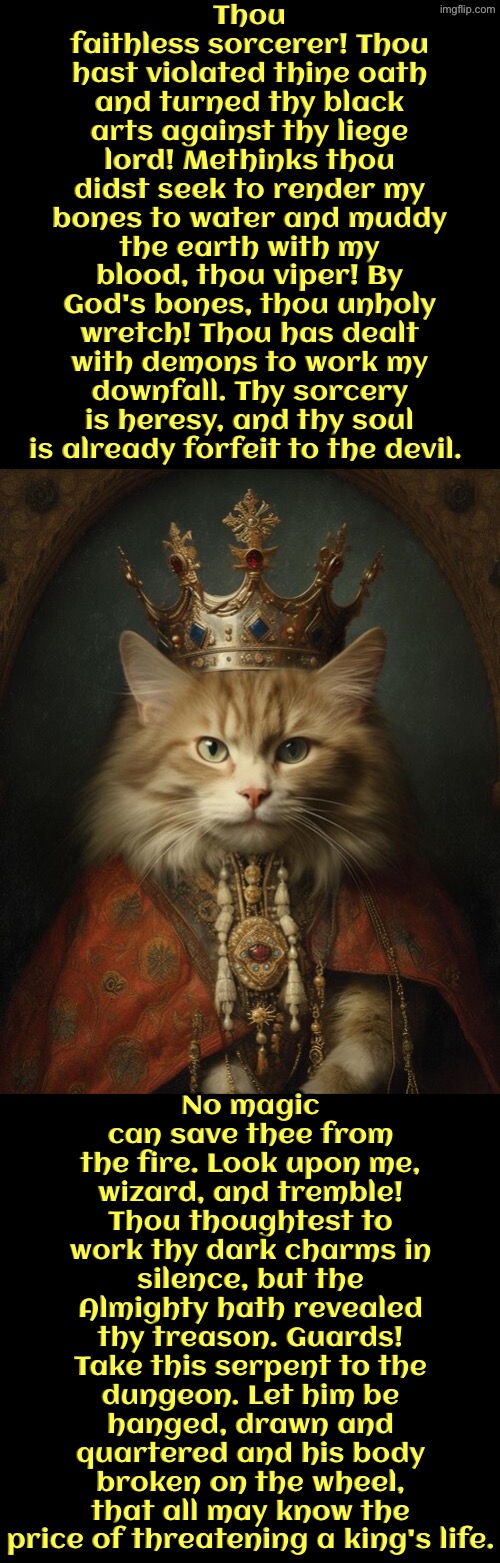 No Magic Can Save Thee From The Fire | Thou faithless sorcerer! Thou hast violated thine oath and turned thy black arts against thy liege lord! Methinks thou didst seek to render my bones to water and muddy the earth with my blood, thou viper! By God's bones, thou unholy wretch! Thou has dealt with demons to work my downfall. Thy sorcery is heresy, and thy soul is already forfeit to the devil. No magic can save thee from the fire. Look upon me, wizard, and tremble! Thou thoughtest to work thy dark charms in silence, but the Almighty hath revealed thy treason. Guards! Take this serpent to the dungeon. Let him be hanged, drawn and quartered and his body broken on the wheel, that all may know the price of threatening a king's life. | image tagged in cats,medieval memes,the king,wizard,execution,archaic insults | made w/ Imgflip meme maker