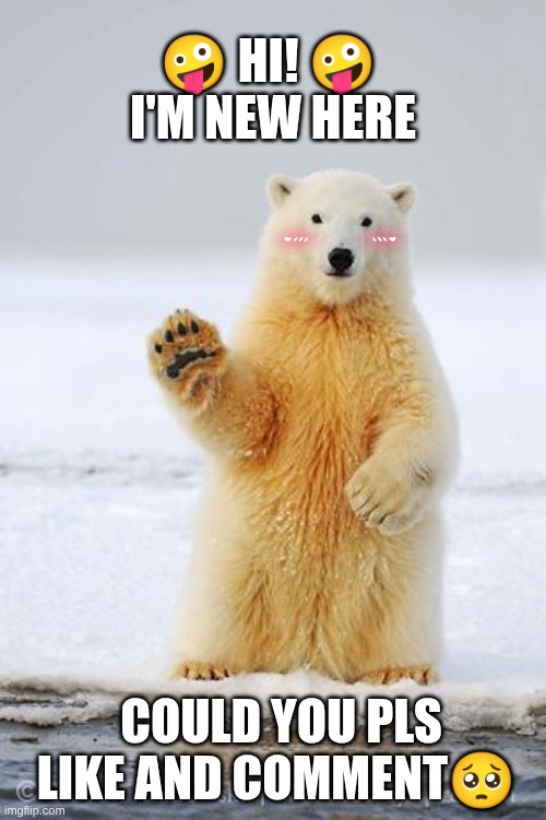 hey friends could you like my meme or whatever? | 🤪 hi! 🤪 
i'm new here; could you pls like and comment🥺 | image tagged in hello polar bear,pls like | made w/ Imgflip meme maker