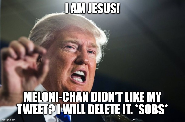 donald trump | I am Jesus! Meloni-chan didn't like my tweet? I will delete it. *sobs* | image tagged in memes,trump,tweets | made w/ Imgflip meme maker