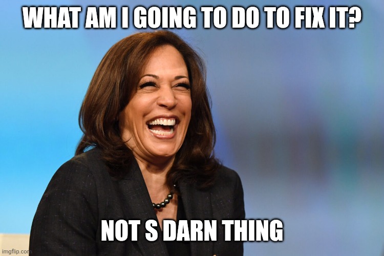 Kamala Harris laughing | What am I going to do to fix it? Not s darn thing | image tagged in kamala harris laughing | made w/ Imgflip meme maker