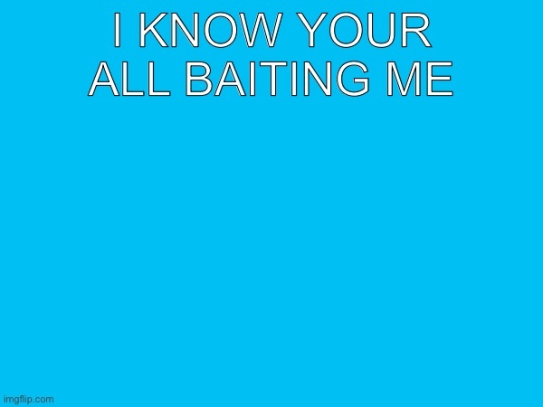 i know your all baiting me | made w/ Imgflip meme maker